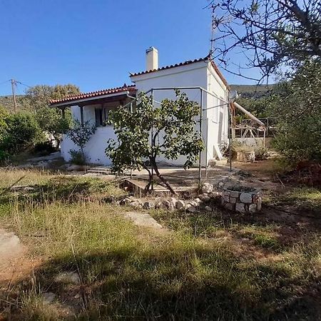 הוילה Elafonisos Detached House In Quiet Olive Grove, Starlink Internet & Smart Projector! מראה חיצוני תמונה